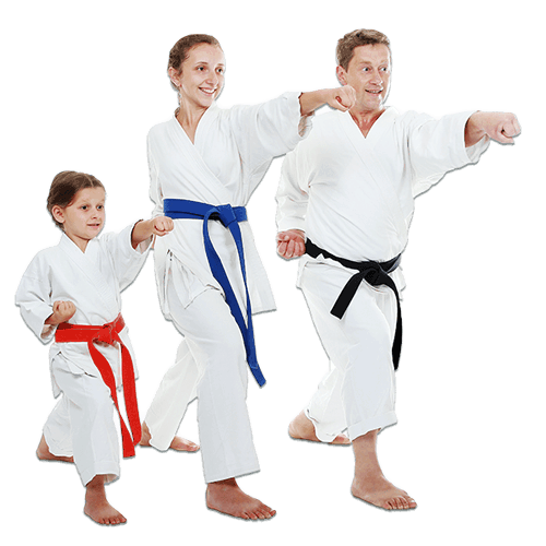 Martial Arts Lessons for Families in Mundelein IL - Man and Daughters Family Punching Together