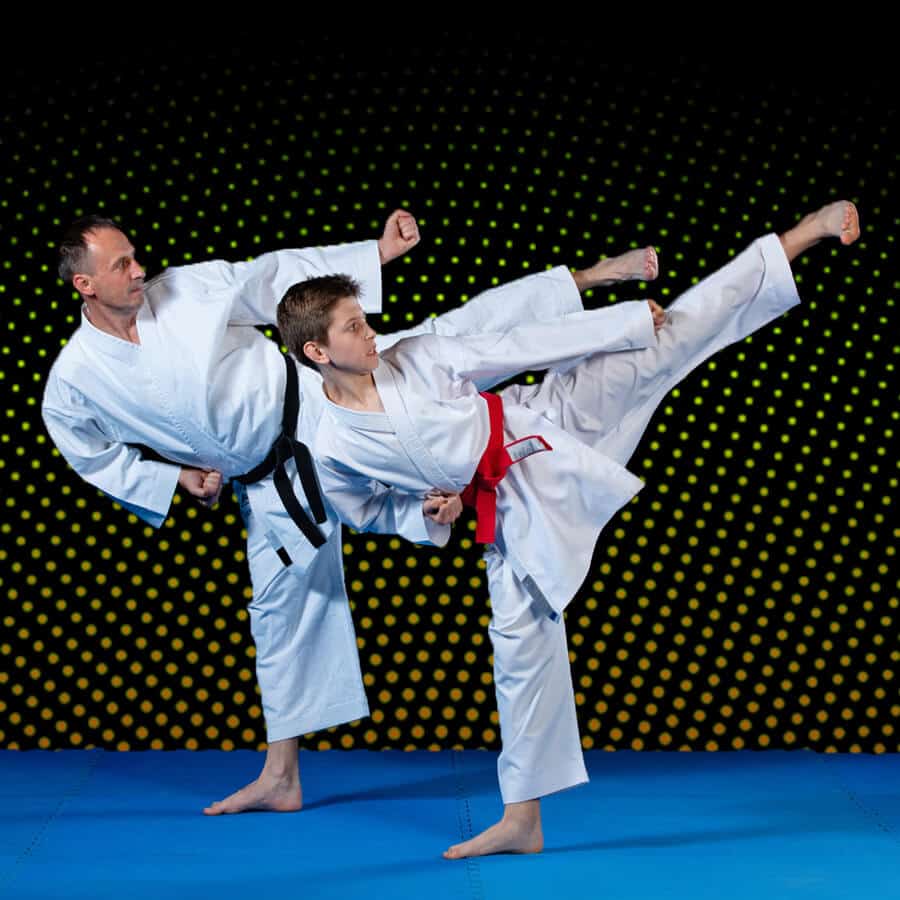 Martial Arts Lessons for Families in Mundelein IL - Dad and Son High Kick