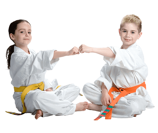 Martial Arts Lessons for Kids in Mundelein IL - Kids Greeting Happy Footer Banner