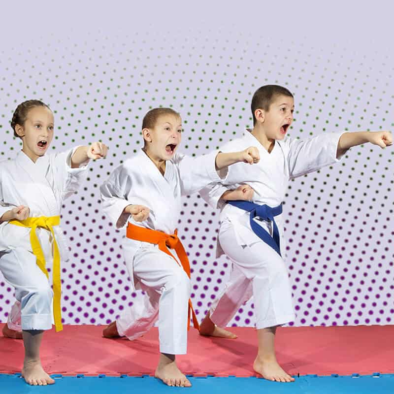 Martial Arts Lessons for Kids in Mundelein IL - Punching Focus Kids Sync