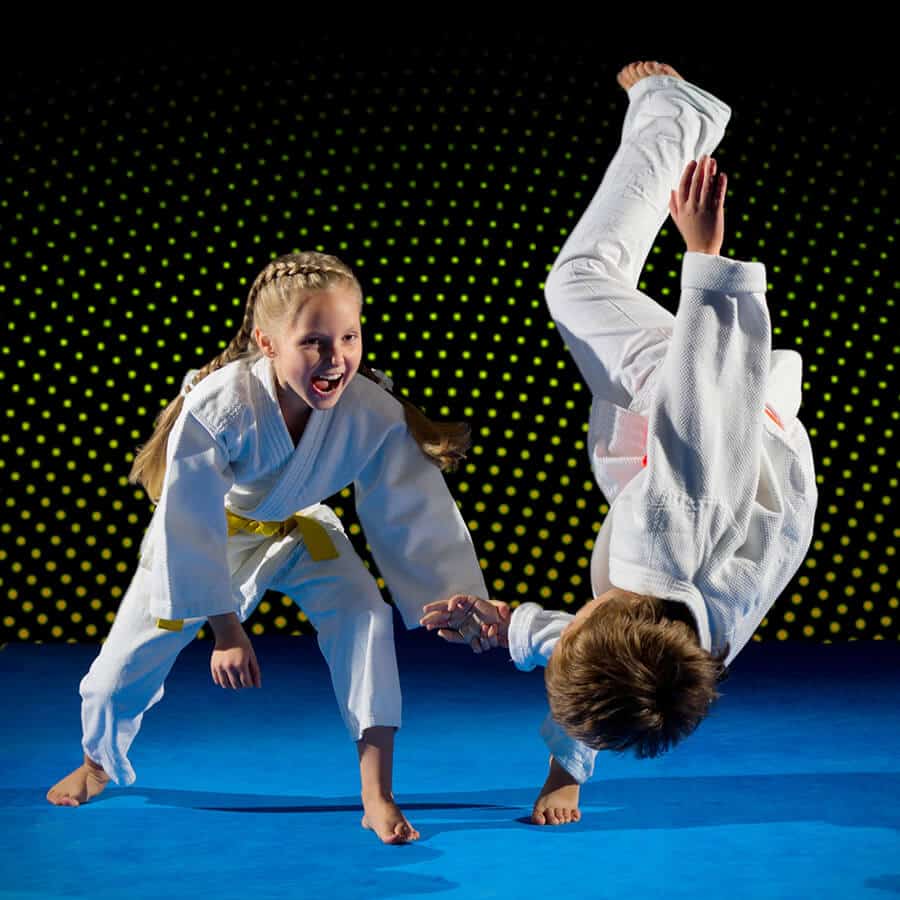 Martial Arts Lessons for Kids in Mundelein IL - Judo Toss Kids Girl