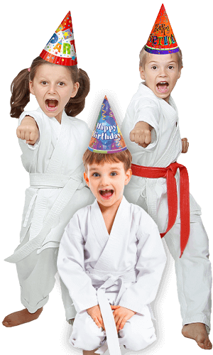 Martial Arts Birthday Party for Kids in Mundelein IL - Birthday Punches Page Banner