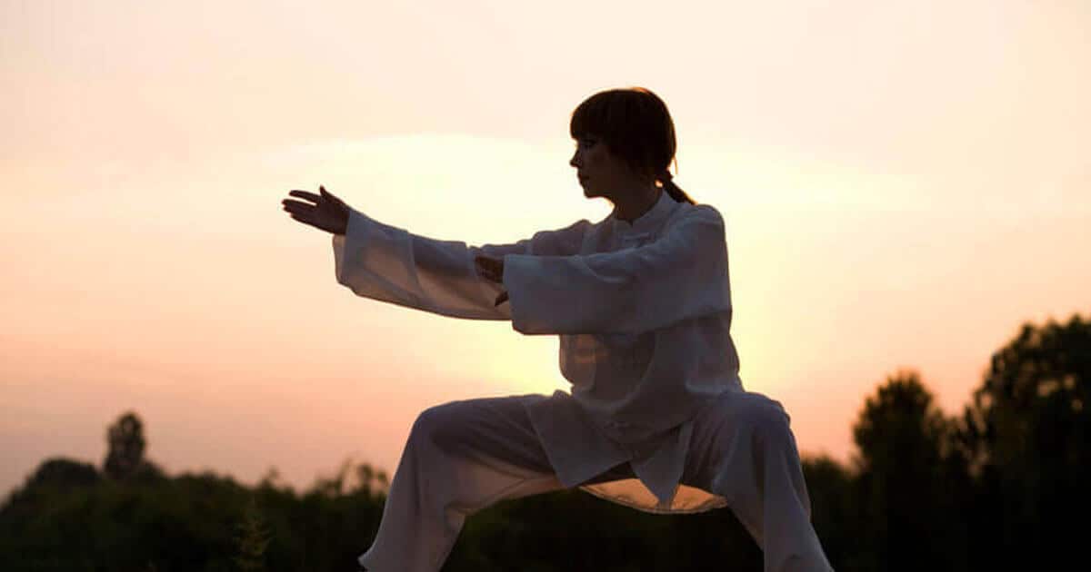 Martial Arts in IL Ki Martial Arts Good Stress or Bad Stress?